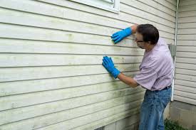 Affordable Siding Repair and Maintenance Services in Lancaster, KY